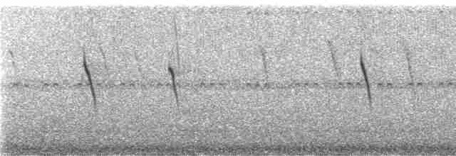 rorýs krátkoocasý - ML246473