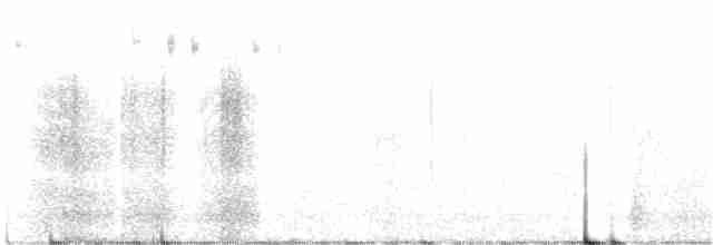 Savannah Serçesi [sandwichensis grubu] - ML246486771