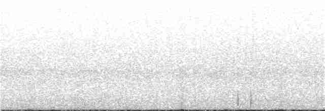 Воротничковый рябчик - ML246502321