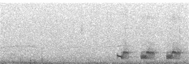 Elegant Trogon (Coppery-tailed) - ML246502911