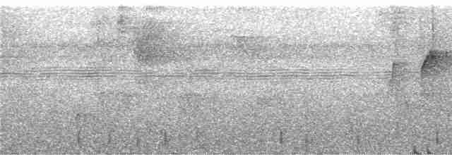 brunbukmeiskryper (genibarbis gr.) - ML246507
