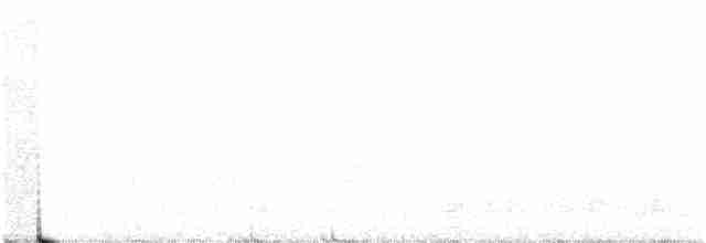 Hermit Thrush (faxoni/crymophilus) - ML246523231