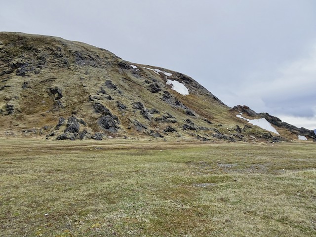 Tundra breeding habitat. - Northern Wheatear - 