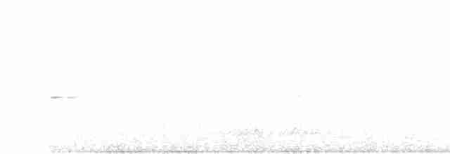 Пурпурногорлая эуфония - ML246558251