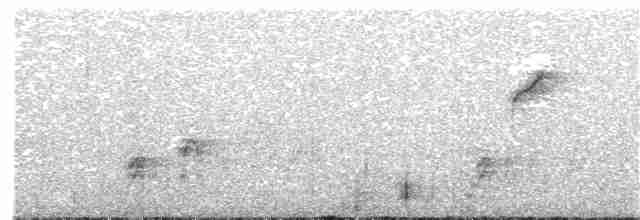 Uzun Kuyruklu Kara Tiran - ML246575231