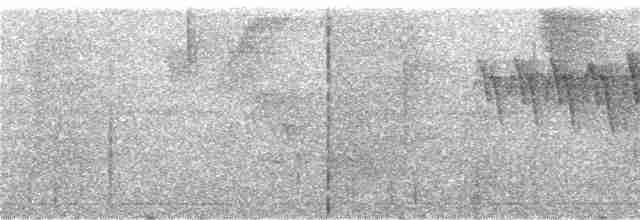 Gray-mantled Wren - ML246577
