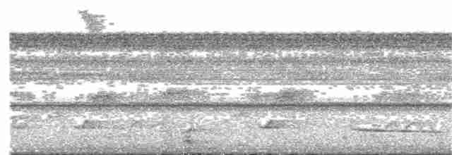 Oriole des campos - ML246581981