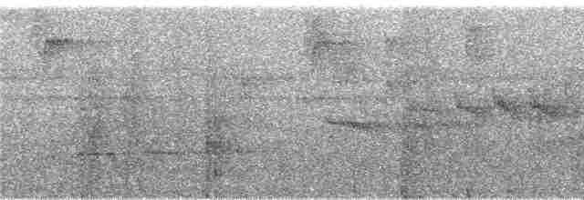 fjellfotelenia (olallai) - ML246584