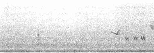 Oriole des vergers - ML246584781
