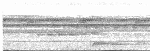 Augennachtschwalbe - ML246588471