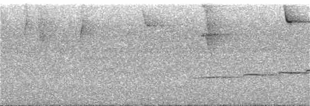 Güneyli Kestanerengi Karıncakuşu - ML246608341