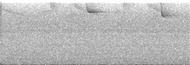 Güneyli Kestanerengi Karıncakuşu - ML246608351