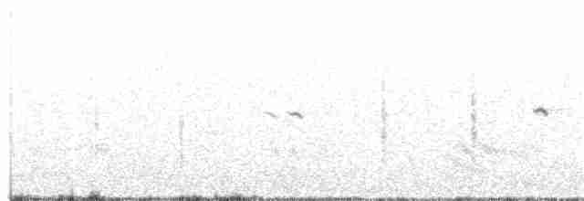 Atlas Kuyrukkakanı - ML246613021