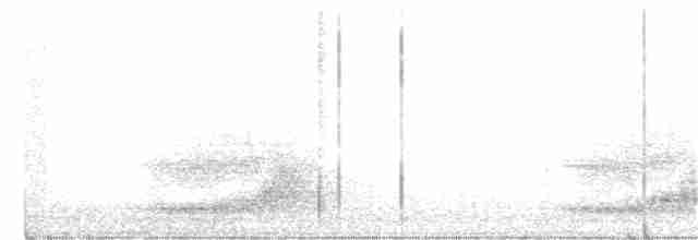 Kiwi de Mantell - ML246615681