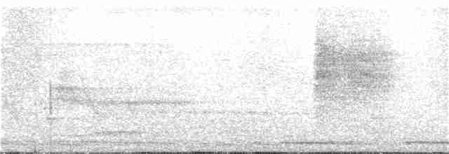 Blyth's Reed Warbler - ML246638451