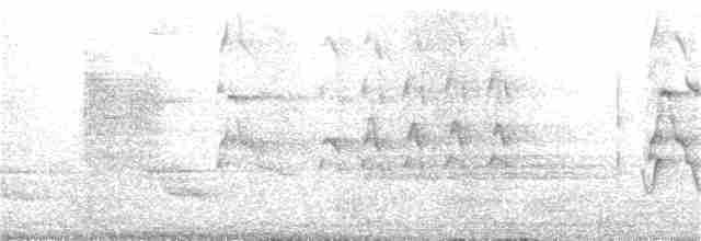 Blyth's Reed Warbler - ML246638501
