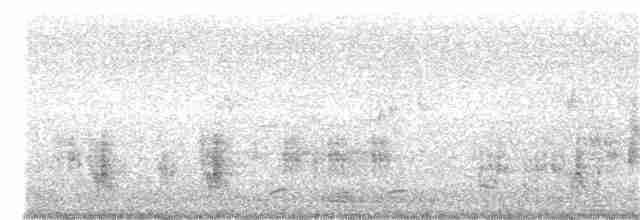 Oriental Reed Warbler - ML246643481