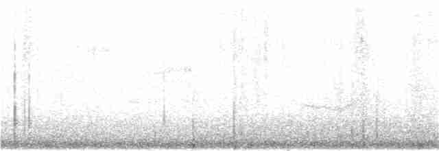 Common Yellowthroat - ML246643571