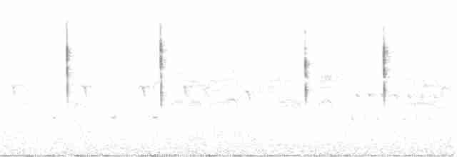 Savannah Serçesi [sandwichensis grubu] - ML246646531