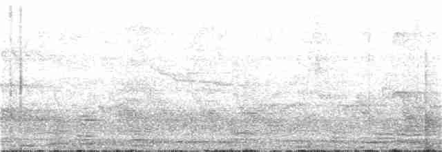 Alción de Esmirna - ML246647641