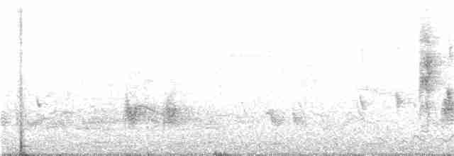 Белошейная веерохвостка - ML246661381