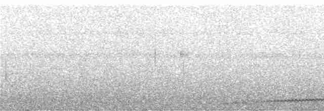 Schwalbenschwanz-Nachtschwalbe - ML246704