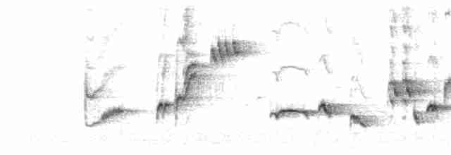 Кропив’янка чорноголова - ML246709101