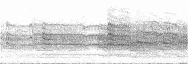 Common Tern - ML246749441