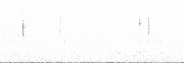 Common Yellowthroat - ML246749531