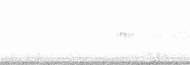 Kara Boğazlı Kolibri - ML246777841