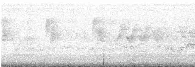 Common Tern - ML246789731