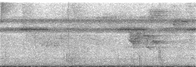 Trogón Violáceo Norteño - ML246794911