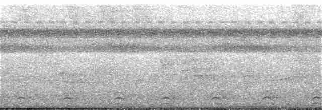Slaty-tailed Trogon - ML246797341