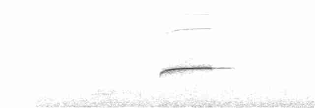 Пурпурногорлая эуфония - ML246811561