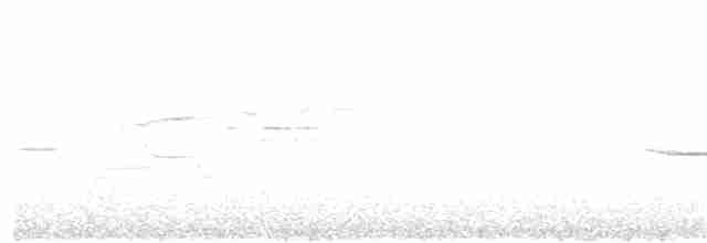 Дрізд-короткодзьоб плямистоволий - ML246831211
