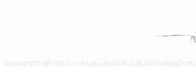 Münzevi Bülbül Ardıcı - ML246831281