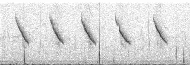 Schwarzkappen-Finkentangare (auricularis) - ML246852