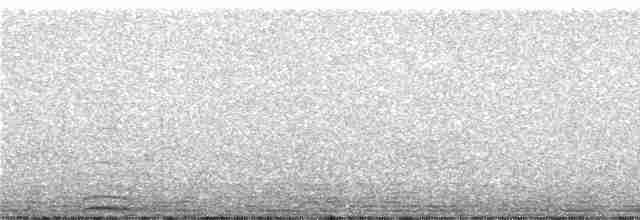 Grallaire de Ridgely - ML246855