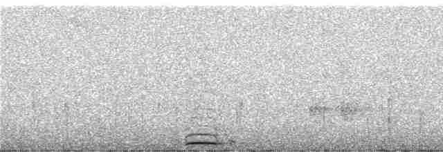 Grallaire de Ridgely - ML246856