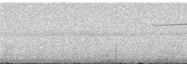 Siyah Çizgili Pufkuşu - ML246873