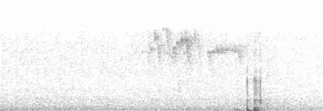ノドジロハリオアマツバメ - ML24690101