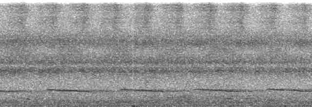 berghalegjøk (montanus) - ML24691