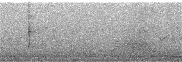 Черноголовый толстонос - ML246915731