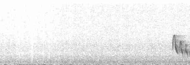 Рувензорский турако (johnstoni) - ML24692