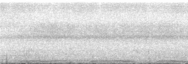 rødknoppkeiserdue (rufigula) - ML246928