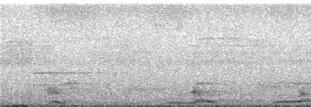 rødknoppkeiserdue (rufigula) - ML246930