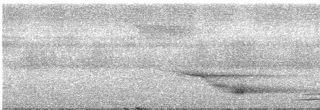 Long-tailed Myna - ML246941