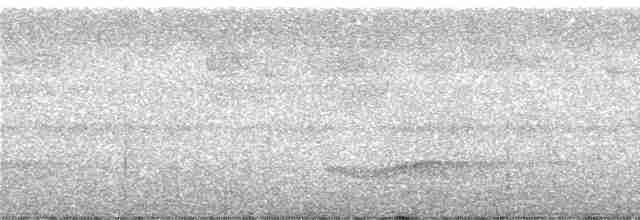 Соломонский карликовый попугайчик - ML246945