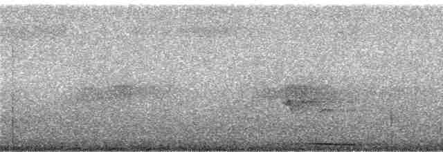 rødknoppkeiserdue (rufigula) - ML246961