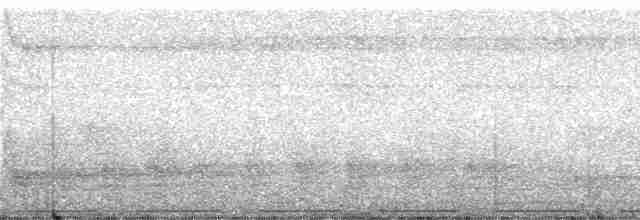 holub hnědohřbetý - ML246966